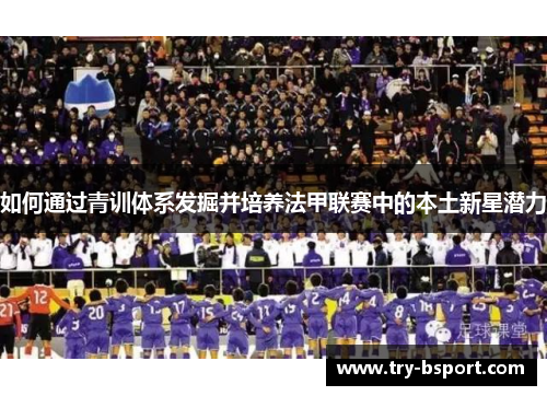 如何通过青训体系发掘并培养法甲联赛中的本土新星潜力