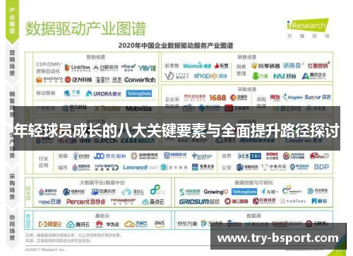 年轻球员成长的八大关键要素与全面提升路径探讨