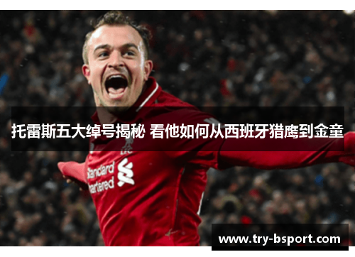 托雷斯五大绰号揭秘 看他如何从西班牙猎鹰到金童