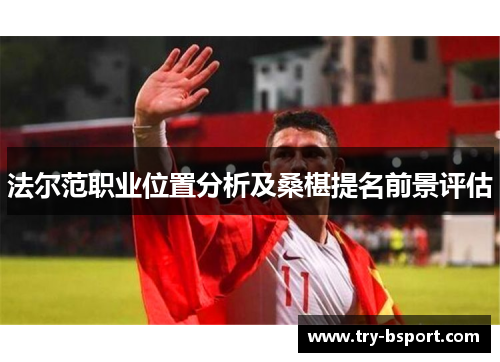 法尔范职业位置分析及桑椹提名前景评估