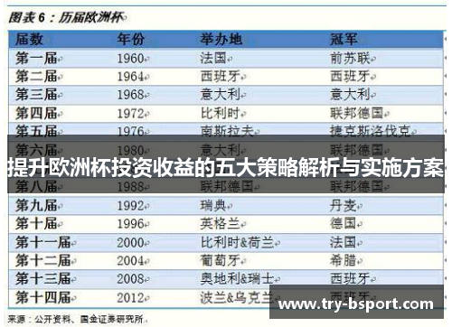 提升欧洲杯投资收益的五大策略解析与实施方案