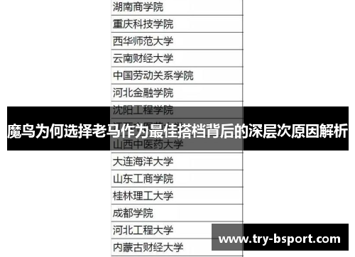 魔鸟为何选择老马作为最佳搭档背后的深层次原因解析 魔鸟为何选择老马作为最佳搭档背后的深层次原因解析