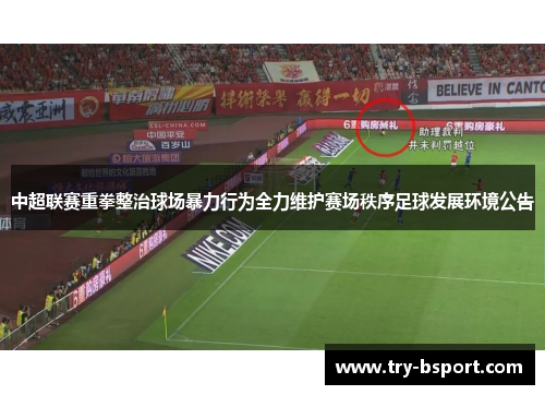中超联赛重拳整治球场暴力行为全力维护赛场秩序足球发展环境公告 中超联赛重拳整治球场暴力行为全力维护赛场秩序足球发展环境公告