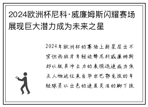 2024欧洲杯尼科·威廉姆斯闪耀赛场展现巨大潜力成为未来之星