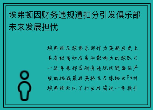 埃弗顿因财务违规遭扣分引发俱乐部未来发展担忧